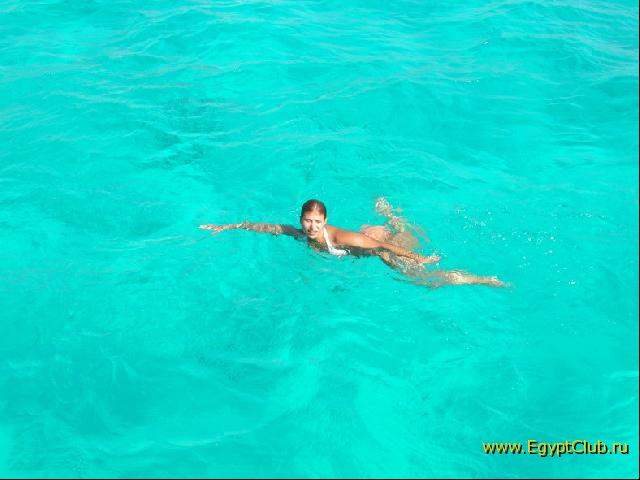 �������� �� �������