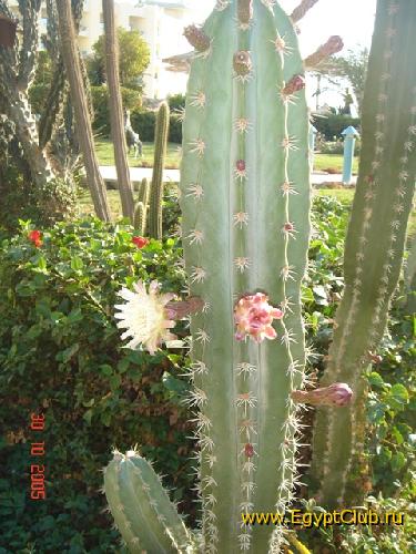 ������� � �����