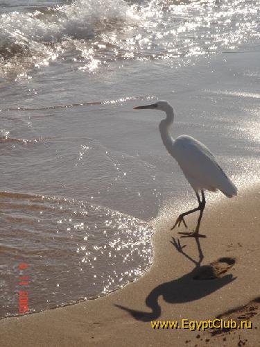 ����� �� �����