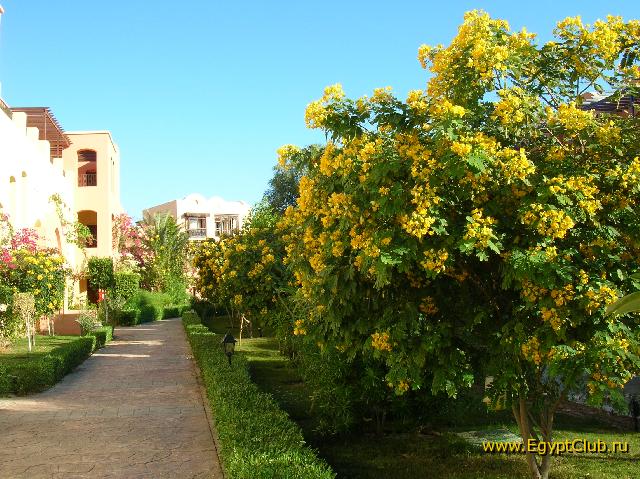 Iberotel Makadi Saraya Suites Resort & Family Resort - ������ ����� �����