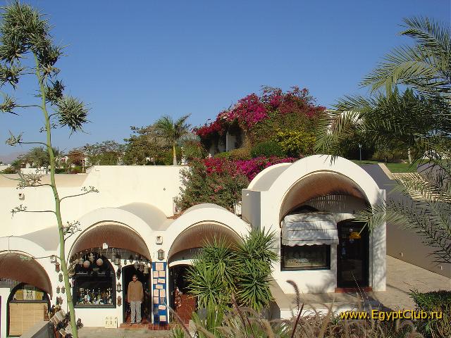 ������� �� ���������� �����