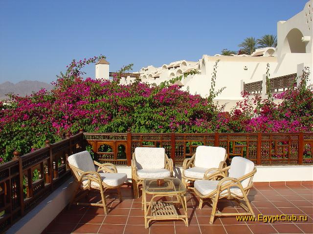 ������� ������ �� �������