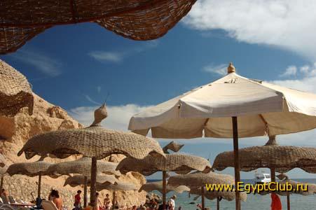 ������� ���.