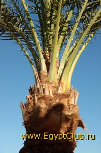 ��������� ����.