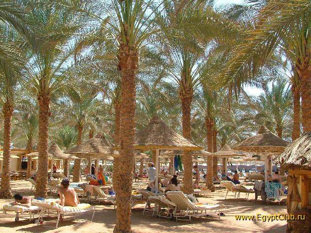 ��������� ����