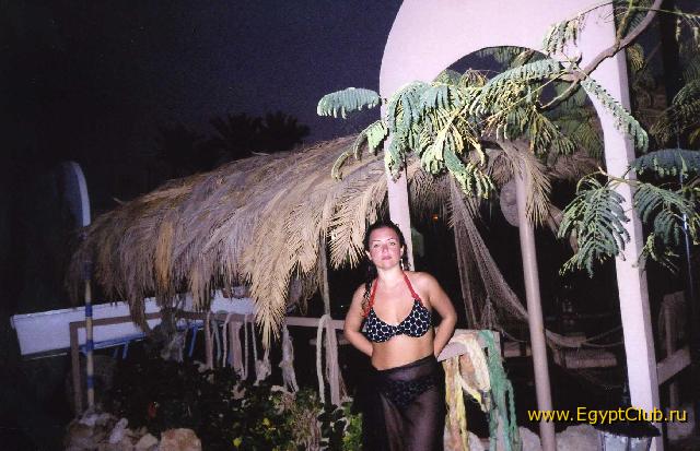 ��� �� �����