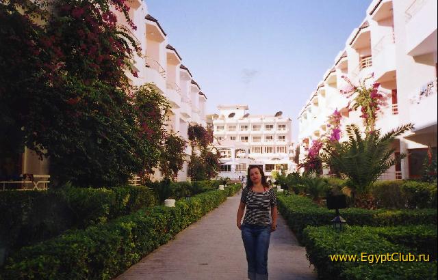 ������ �����