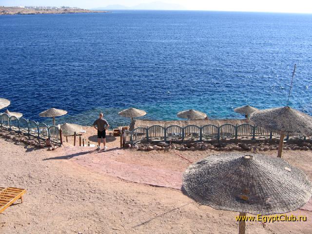Halomy Sharm,���� �����