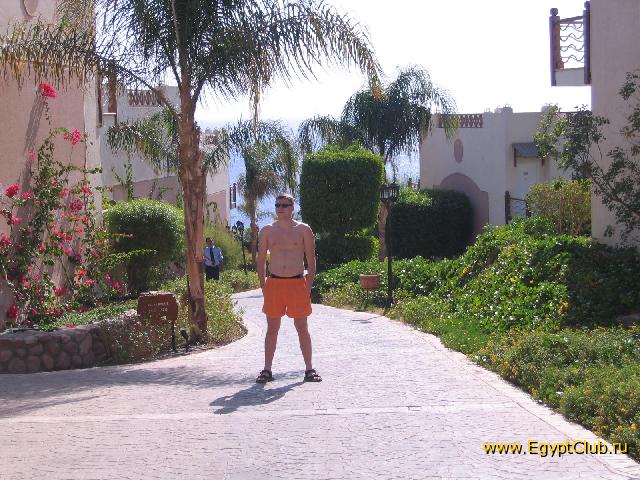 ������ � �����