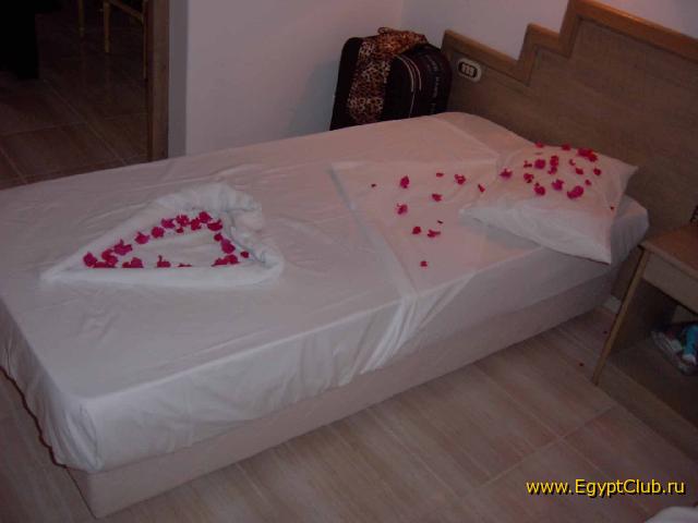 ��� ����� � Seti Sharm