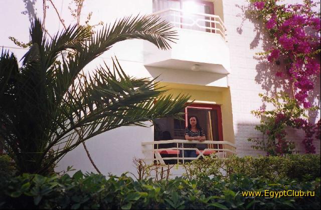 ��� �����