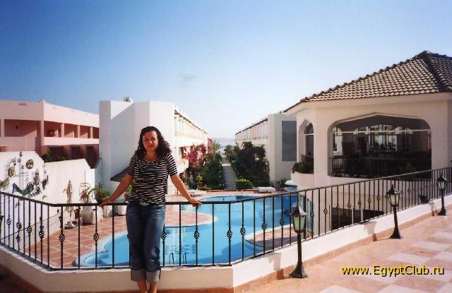 ��� ������