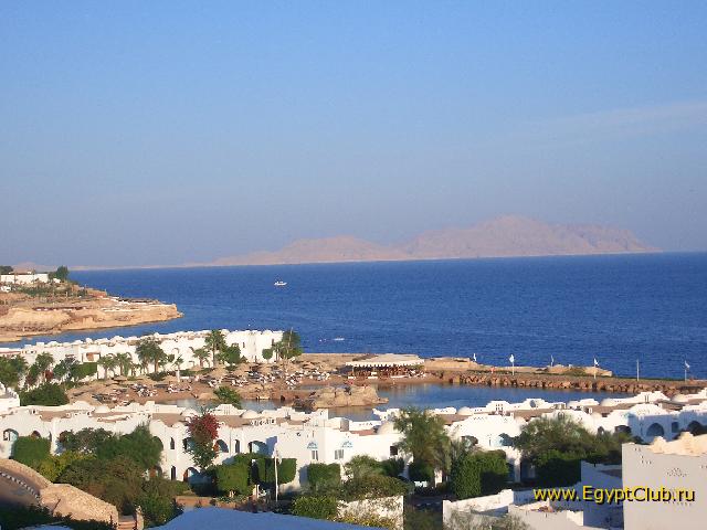 ������ ��� ������