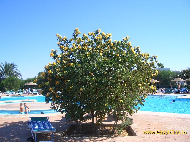 ������� �������