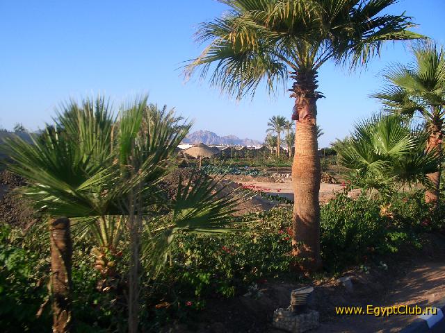 ��� �� �����