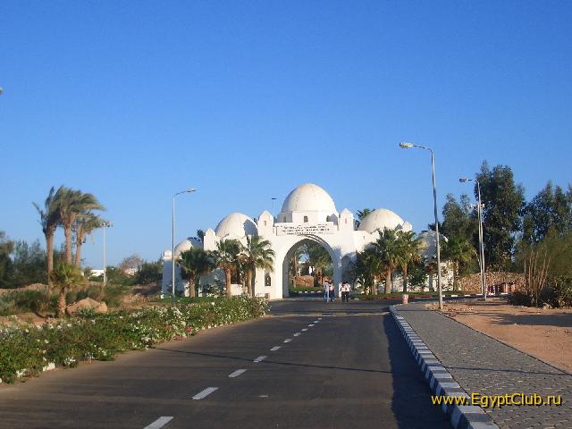 ������ � ���