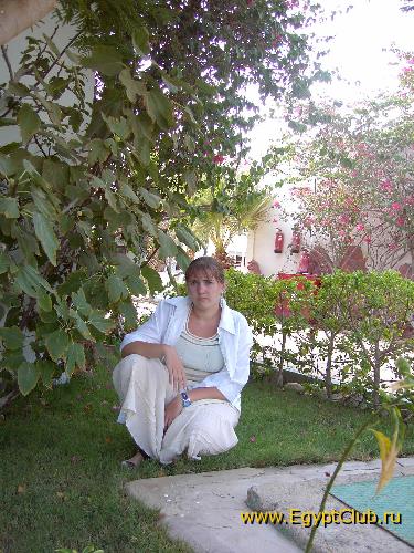 � ����� ������ � Seti Sharm