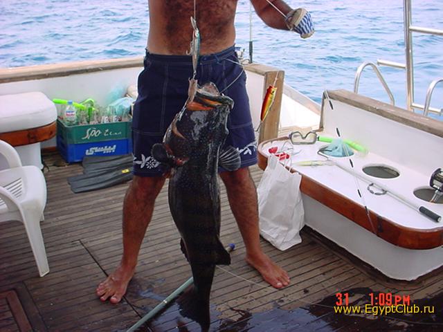 ������� ���