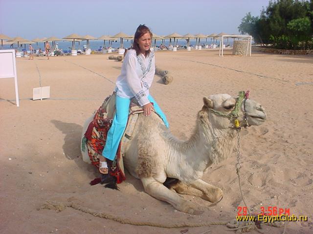 �� ������ ������� - � � ����...