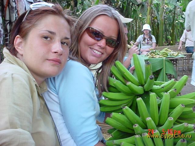 ��������� ����. ������