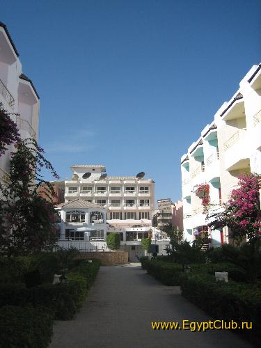 ����� ��������