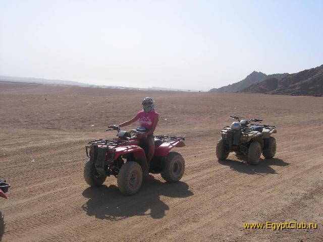 ���� ������