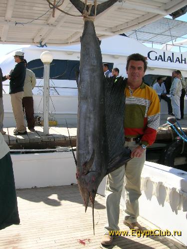 ������� � ������