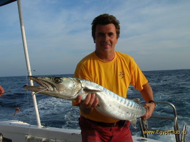 ������� � ������