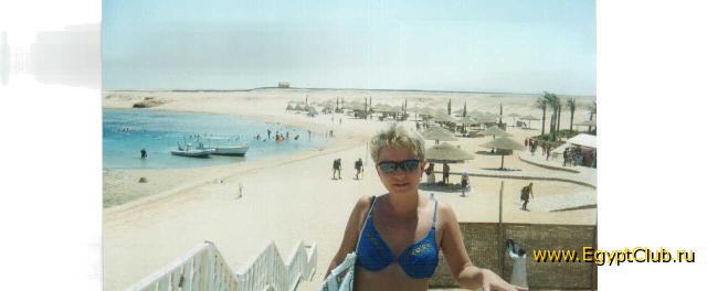 ����-���-����