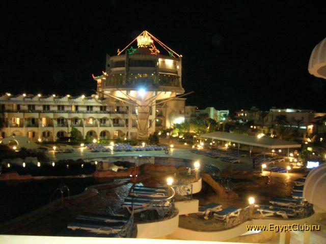 Sea Gull �����