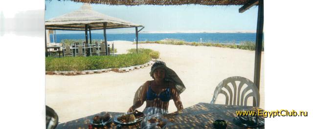 ����-���-����