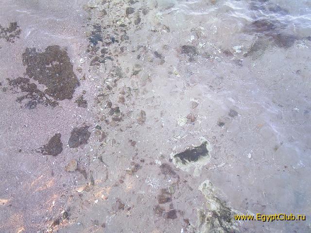 ����� ������ ���� �����