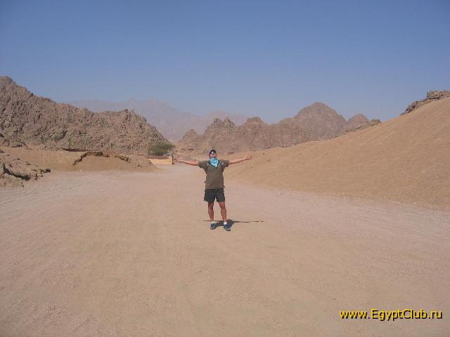 ���� ������