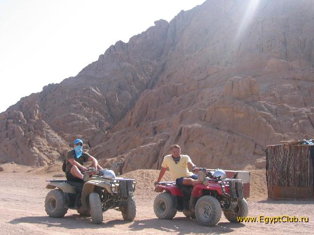 ���� ������