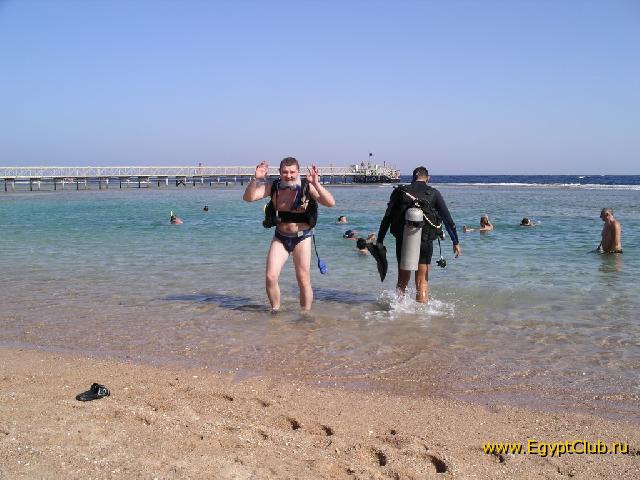 ���� � ������