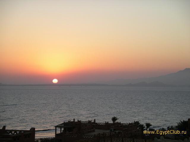 ������ ������