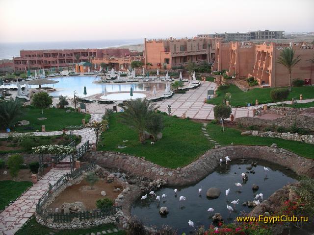 ��� �����