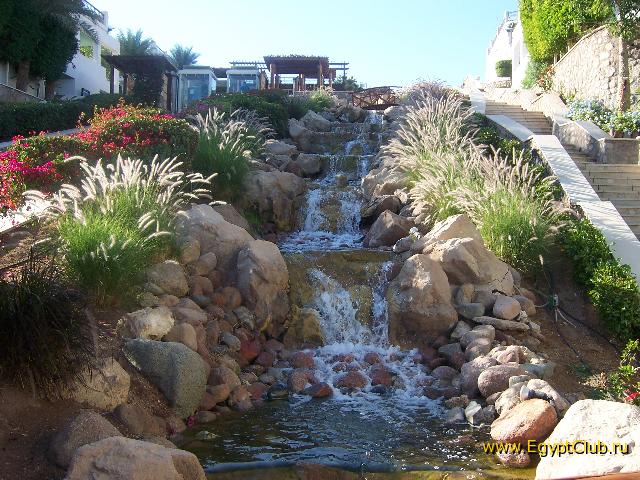 ������ ����������