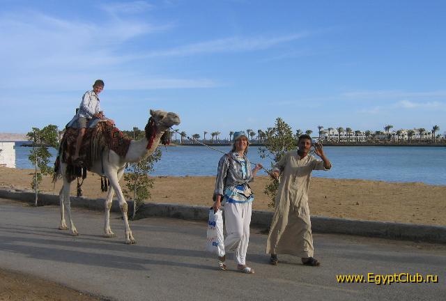 �������. ��������� �� ��������.