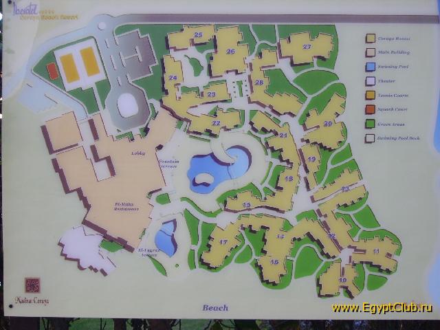 ���� �����