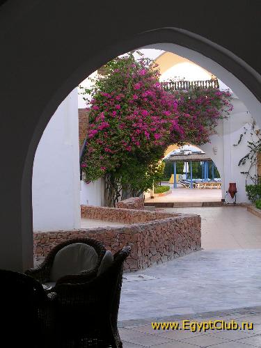 ��� �� ����