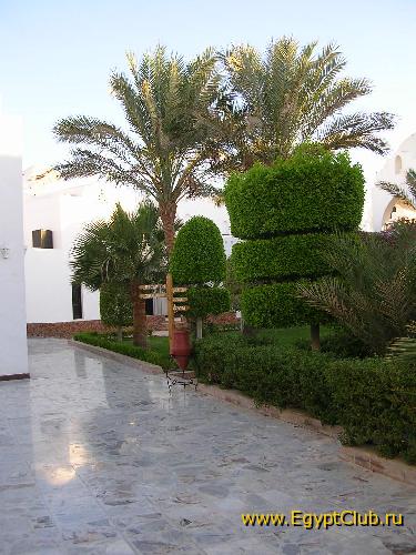 ������� �  ��������� El OBBA