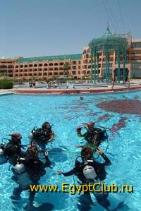 ������� � ��������