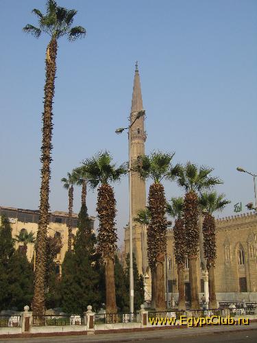 ������ ����