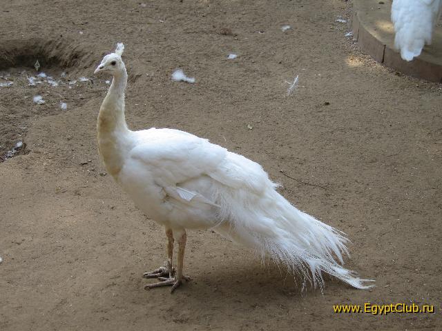 ������� � �����