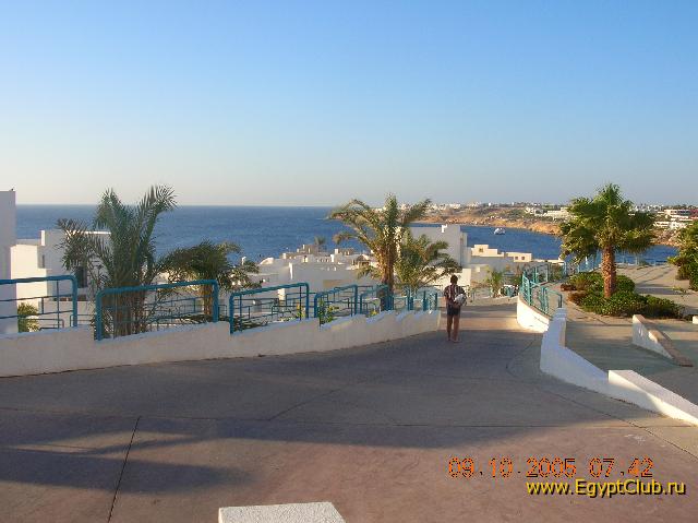 ������ � �����