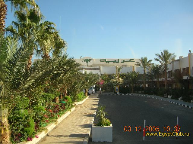 ��� �� �����