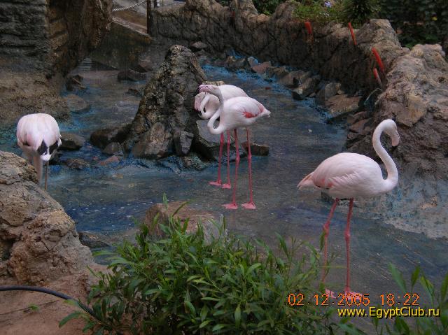 �������� � �� �����