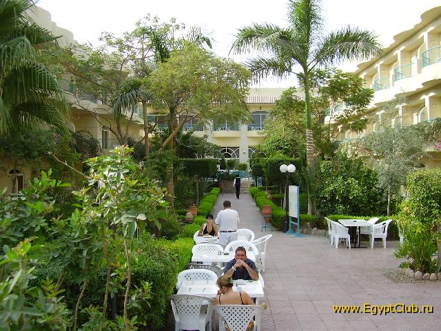 ����� �����