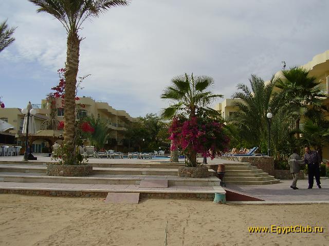 ����� �����